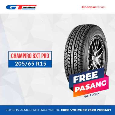 GT RADIAL CHAMPIRO BXT PRO 205/65 R15