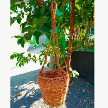 POT ORGANIK GANTUNG / POT ANGGREK SABUT KELAPA GROSIR MURAH