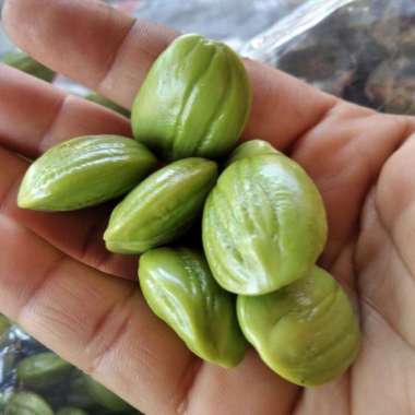 LALAPAN PETE/Petai super grade A sayur no ulat 1 kilo gram