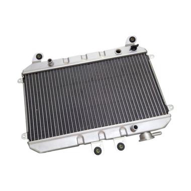 Viar Radiator Comp Spare Parts Motor for Viar Karya 200 -