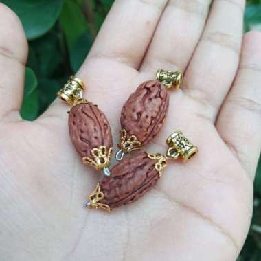 Liontin Jenitri Genitri Rudraksha Mukhi 3