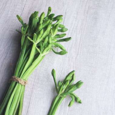 Rumah Sayur Express Genjer [250 gram]