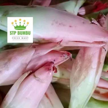 Bunga Kencong Segar Fresh 1kg / Rias / Kecombrang / Combrang / Kincung