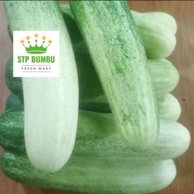 Timun Muda Segar Fresh 1kg / Mentimun / Ketimun