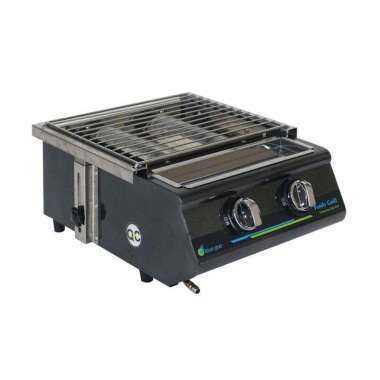 Blue Gaz Family Grill