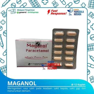 MAGANOL PARACETAMOL 500 MG PER BLISTER @ 12 KAPLET
