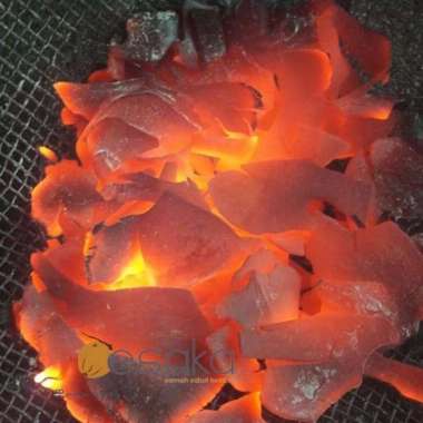 Arang Batok Kelapa Resto Food Grade - Areng Sate Briket Murah