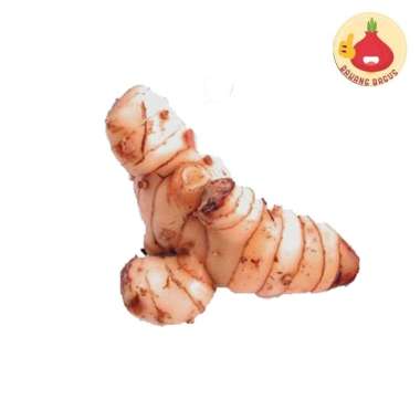 Laos 100gr / 250gr / 500gr / Bumbu Dapur / Rempah - Bawangbagus 250gr