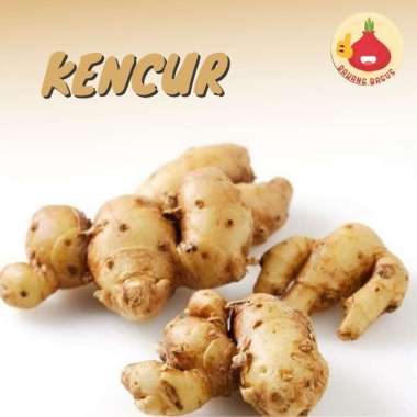 Kencur 200gr / 100gr / Bumbu Dapur - Bawangbagus 100gr