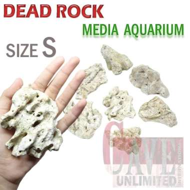 Dead rock batu karang setting air laut batu karang DR scaping aquarium