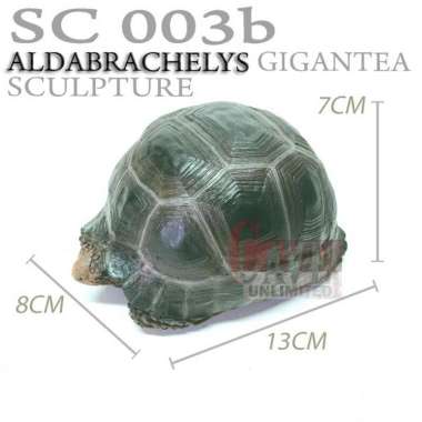 Replika patung pajangan miniatur tortoise Sulcata kura kura darat ALDABRA