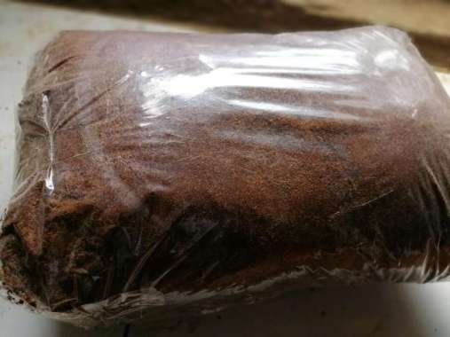 Media tanam Cocopeat siap pakai