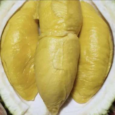 durian Musangking utuh malaysia (berikut kulit) garansi Per kilo