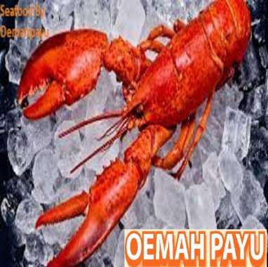 Lobster Laut Frozen 1 KG - Seafood By Oemahpayu