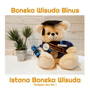 Boneka Wisuda Binus + Kacamata + Selempang Nama Bordir Custom SNI