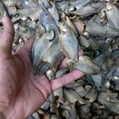 ikan asin sepat