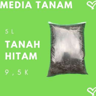 TANAH HITAM, TANAH, MEDIA TANAM