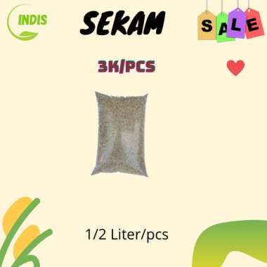 SEKAM MENTAH MURAH / SEKAM PREMIUM QUALITY