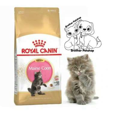 OEM Royal Canin Kitten Maine Coon 2kg - Royal Canin Maine Coon Kitten 2 kg