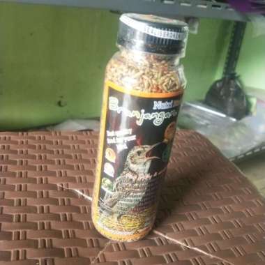 pakan burung branjangan