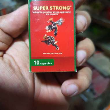 Super Strong Vitamin Doping Ayam Tarung Bangkok.
