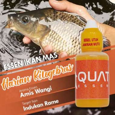 Essen Ikan Mas - Essen Ikan Mas Harian - Essen Aquatic Ikan Mas Paling Mantap