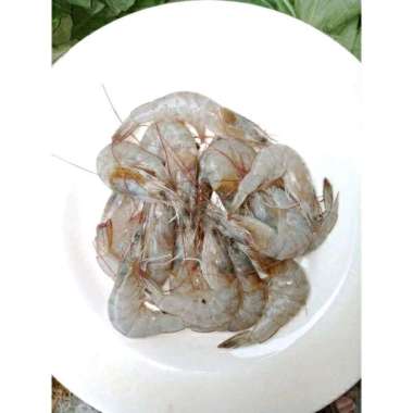 udang segar kecil 250