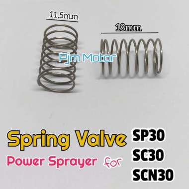 Sp30 per klep spring valve assy mesin power sprayer doorsmeer scn30 30