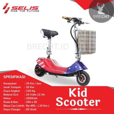Selis E-Scooter | Scooter Accu