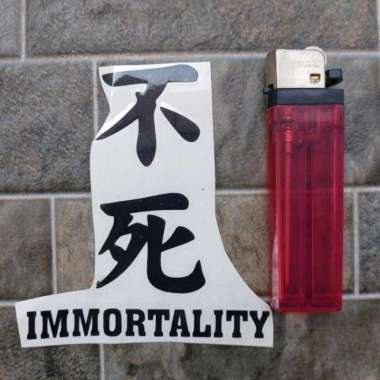 Stiker Laptop Motor Mobil HP Kanji Jepang Kata Immortality Cutting Cas Hitam