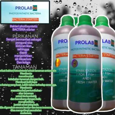 bakteri/bakteri starter/ bakteri cair/bakteri kolam akuarium1 liter