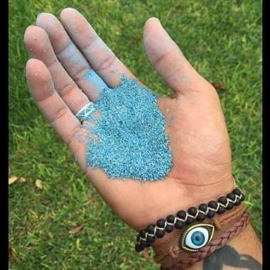 Biji rumput - Benih rumput - Rumput swiss 100 gram