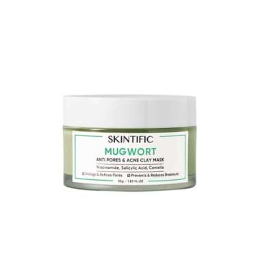 SKINTIFIC Mugwort Anti Pores & Acne Clay Mask