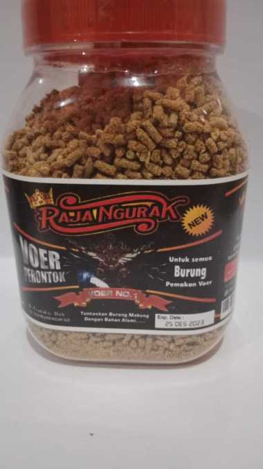 VOER RAJA NGURAK VOER PERONTOK BULU SOLUSI BURUNG SUSAH MABUNG