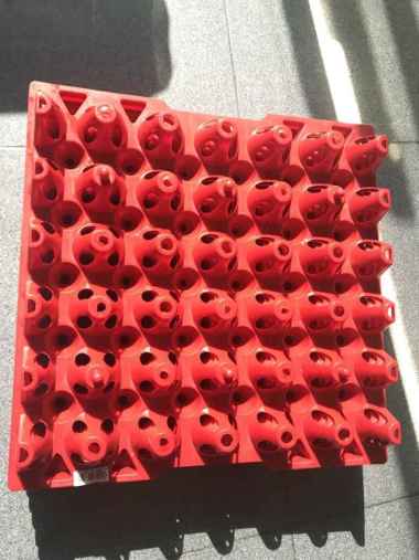 Egg Tray Plastik Telur