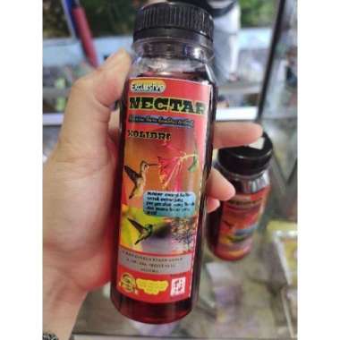 Nectar Kolibri Makanan Burung Kolibri Nectar kolibri