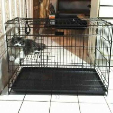 Jual Kandang Kucing Sedang Online Baru Harga Termurah Oktober 2020 Blibli Com