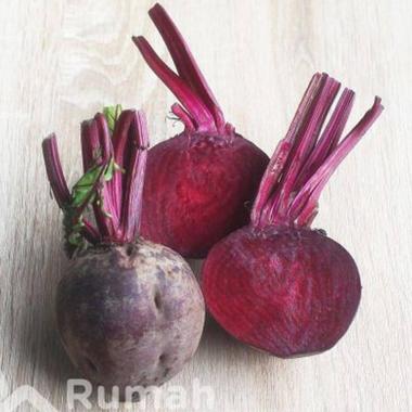 Rumah Sayur Jakarta Selatan Beetroot Bit Beet Buah [250 g]