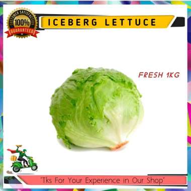 Lettuce Head Iceberg Fresh 1kg
