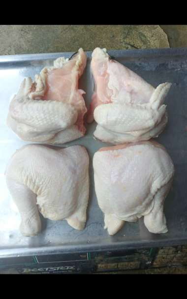 ayam broiler frozen 08 sd 09 ons/ ayam potong/ayam negeri/ayam murah/ayam frozen