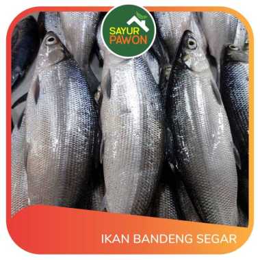 Ikan Bandeng Segar per 500 gr - Sayur Pawon Jogja