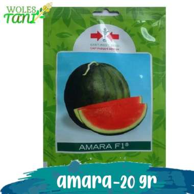 Benih Bibit Seed Semangka Amara 20 Gram Jawa Timur