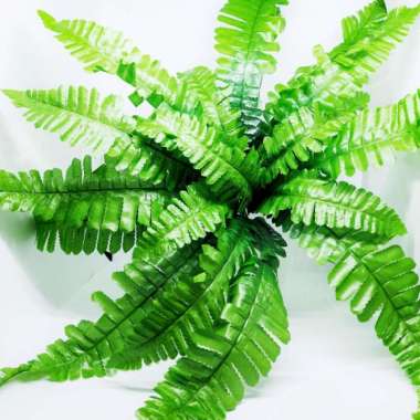 Daun Pakis Sintetis Plastik Tanaman Hias Artificial Dekorasi Taman