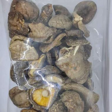 500gr Jamur Hioko - Shitake - Kering - Ukuran Besar