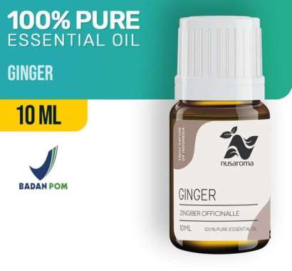 Minyak Jahe Harga Terbaru Mei 2021 Minyak Jahe Harga Terbaru Mei 2021