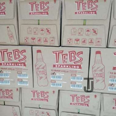 Tebs botol 300ml - DUS