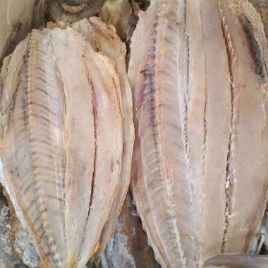 ikan Asin Tenggiri Utuh 1 Kg Fresh.