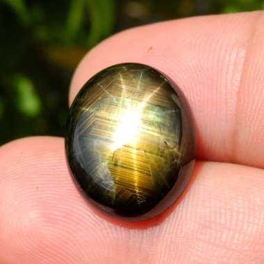 SS-251 Batu Permata Golden Black Star Sapphire 12 Rays Safir Hitam Emas Bintang 12 Sinar Thailand Na