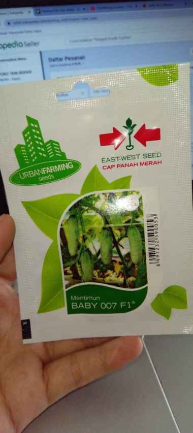 benih Mentimun Baby 007 f1 PANAH MERAH