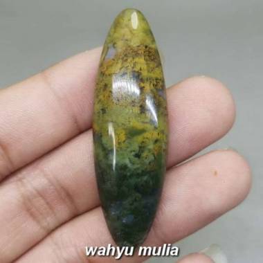 Batu Akik Lumut Hijau Kuning Pandan Trenggalek Asli Kode 2032 Multi colour